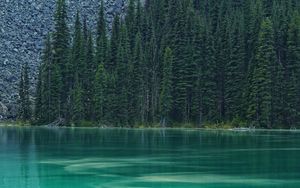Preview wallpaper lake, forest, trees, stones