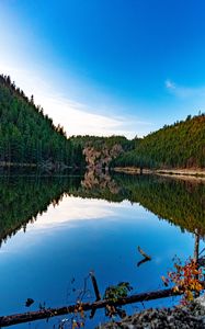 Preview wallpaper lake, forest, trees, reflections, nature