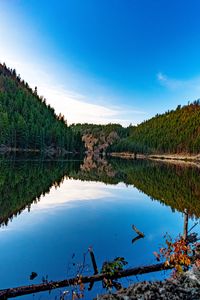 Preview wallpaper lake, forest, trees, reflections, nature