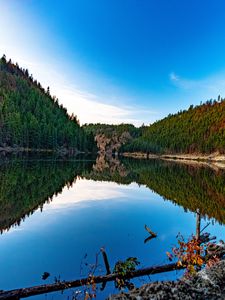 Preview wallpaper lake, forest, trees, reflections, nature