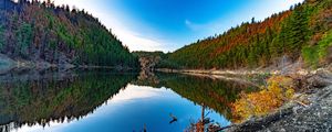 Preview wallpaper lake, forest, trees, reflections, nature