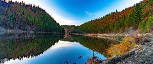 Preview wallpaper lake, forest, trees, reflections, nature