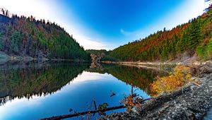 Preview wallpaper lake, forest, trees, reflections, nature