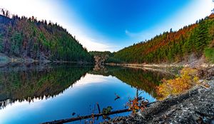 Preview wallpaper lake, forest, trees, reflections, nature