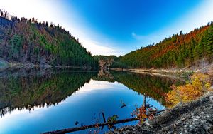 Preview wallpaper lake, forest, trees, reflections, nature
