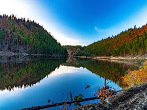 Preview wallpaper lake, forest, trees, reflections, nature