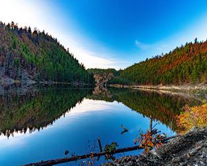 Preview wallpaper lake, forest, trees, reflections, nature