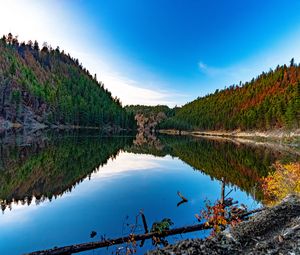 Preview wallpaper lake, forest, trees, reflections, nature