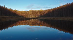 Preview wallpaper lake, forest, water, reflection, nature