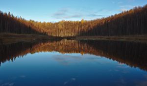 Preview wallpaper lake, forest, water, reflection, nature