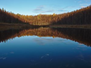 Preview wallpaper lake, forest, water, reflection, nature