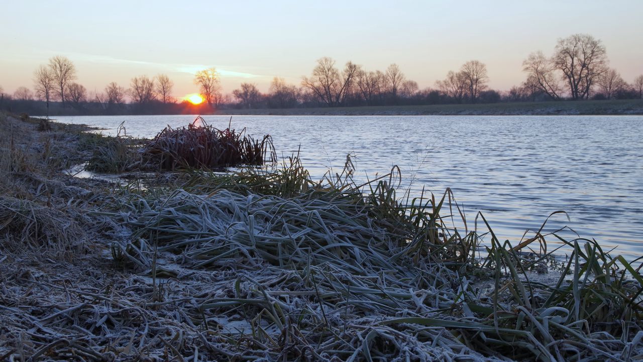 Wallpaper lake, frost, hoarfrost, grass, dawn