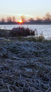 Preview wallpaper lake, frost, hoarfrost, grass, dawn