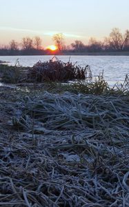 Preview wallpaper lake, frost, hoarfrost, grass, dawn