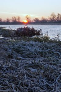 Preview wallpaper lake, frost, hoarfrost, grass, dawn