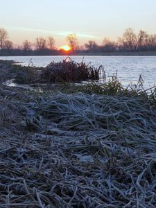 Preview wallpaper lake, frost, hoarfrost, grass, dawn