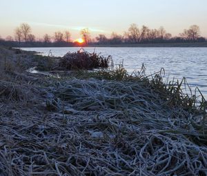 Preview wallpaper lake, frost, hoarfrost, grass, dawn