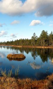 Preview wallpaper lake, grass, autumn, wood, edge