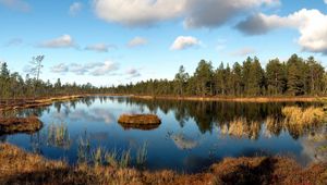 Preview wallpaper lake, grass, autumn, wood, edge