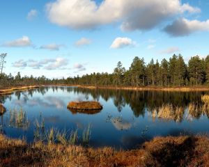 Preview wallpaper lake, grass, autumn, wood, edge