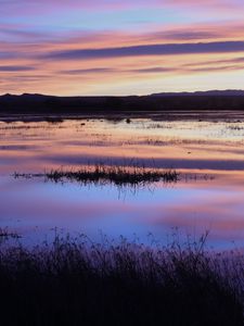 Preview wallpaper lake, grass, dusk, sunset