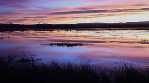 Preview wallpaper lake, grass, dusk, sunset