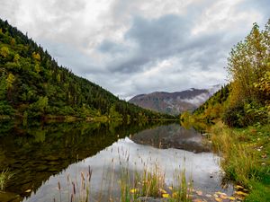 Preview wallpaper lake, grass, mountains, forest, valley