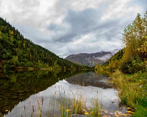 Preview wallpaper lake, grass, mountains, forest, valley