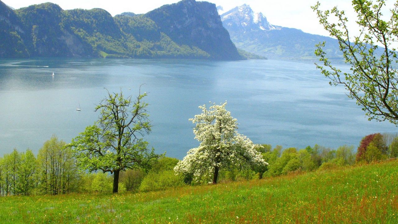 Wallpaper lake, grass, mountains, nature
