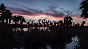 Preview wallpaper lake, grass, palm trees, dark, dusk