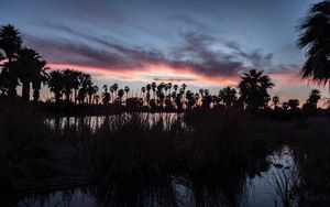 Preview wallpaper lake, grass, palm trees, dark, dusk