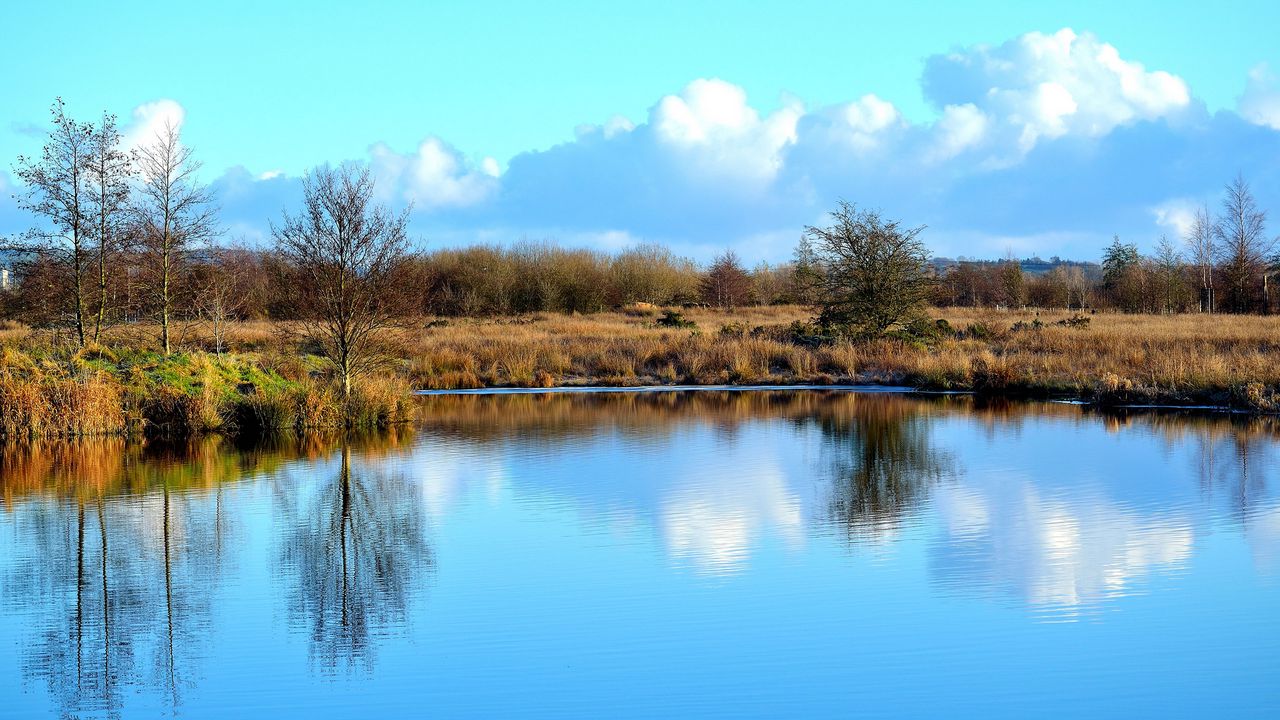 Wallpaper lake, grass, reflection