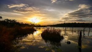 Preview wallpaper lake, grass, sunset, nature
