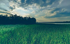 Preview wallpaper lake, grass, trees, evening