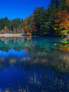 Preview wallpaper lake, grass, water, trees, coast, reflection, sky, blue, september