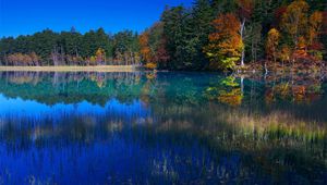 Preview wallpaper lake, grass, water, trees, coast, reflection, sky, blue, september