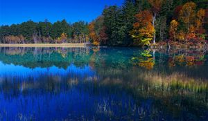 Preview wallpaper lake, grass, water, trees, coast, reflection, sky, blue, september