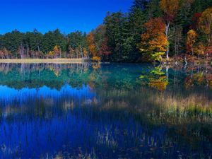 Preview wallpaper lake, grass, water, trees, coast, reflection, sky, blue, september