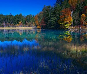Preview wallpaper lake, grass, water, trees, coast, reflection, sky, blue, september