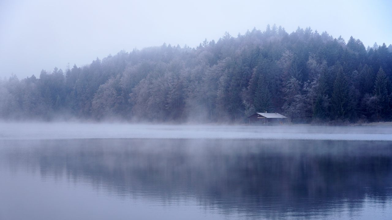 Wallpaper lake, house, forest, fog, water