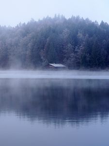 Preview wallpaper lake, house, forest, fog, water
