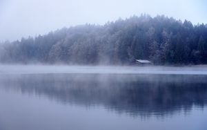 Preview wallpaper lake, house, forest, fog, water