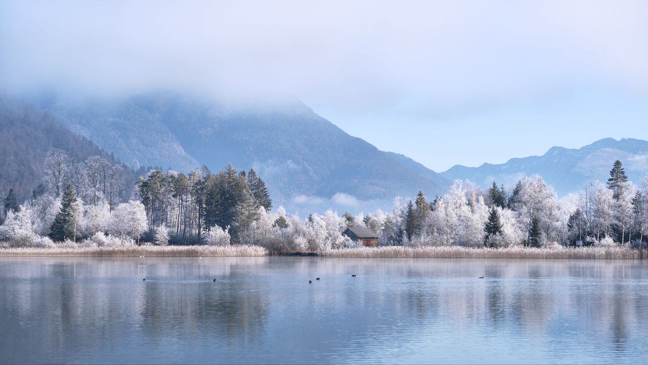 Wallpaper lake, house, trees, mountains, winter