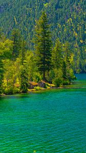 Preview wallpaper lake, houses, forest, mountain, shore