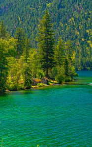 Preview wallpaper lake, houses, forest, mountain, shore