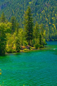 Preview wallpaper lake, houses, forest, mountain, shore