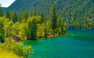 Preview wallpaper lake, houses, forest, mountain, shore