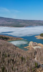 Preview wallpaper lake, ice, coast, trees, forest