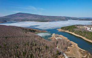 Preview wallpaper lake, ice, coast, trees, forest