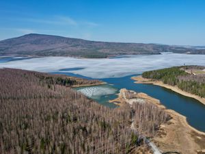 Preview wallpaper lake, ice, coast, trees, forest